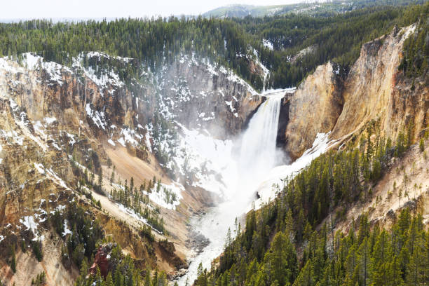 grande cânion nevado de yellowstone - idaho waterfall natural landmark extreme terrain - fotografias e filmes do acervo