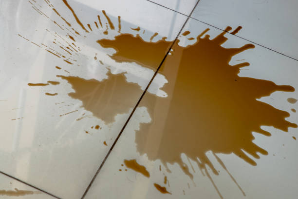 istock Fresh spilled black coffee from mug on the Tile floor. Empty place for text. 1318738765