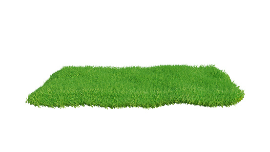 Green grass field isolated on white background. 3d rendering