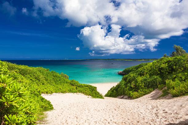 Summer scenery in Miyako island in Okinawa prefecture, Japan This is the summer scenery in Miyako island in Okinawa prefecture, Japan.
Miyako island is the one of Miyako islands, which is well known as a tourist destination in this prefecture. august photos stock pictures, royalty-free photos & images
