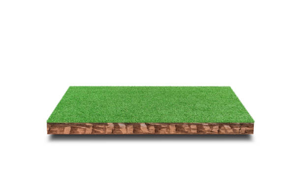 istock Soil cubic cross section with green grass field isolated on white background. 1318741506