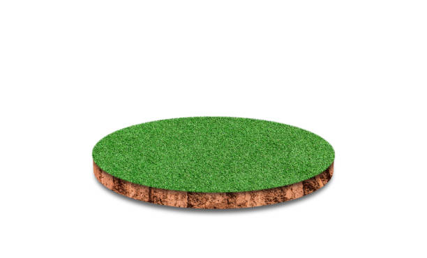 istock Soil round cross section with green grass field isolated on white background. 1318743351