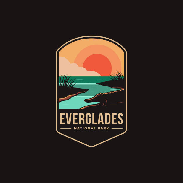 Emblem patch vector illustration of Everglades National Park on dark background