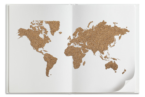 wold map made of wheat grains on white book