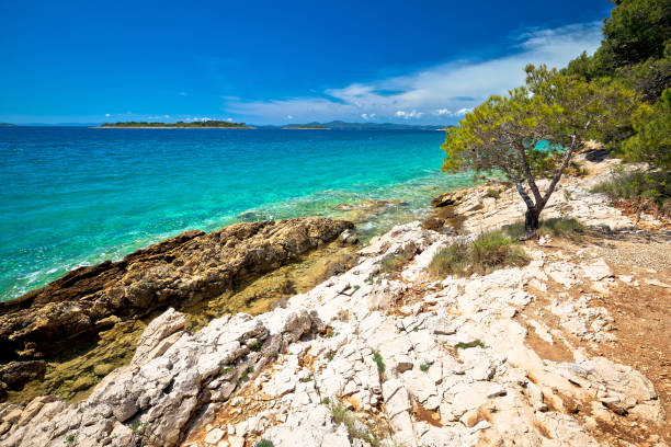 istock Idyllic turquoise rocky beach landscape view in Zadar riviera 1318762043