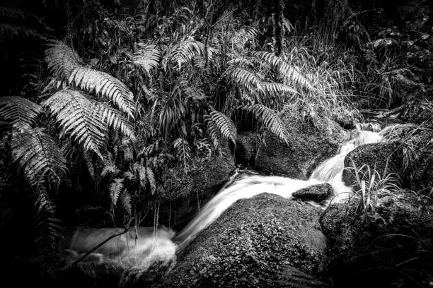 Flowing water in the wild of nature.