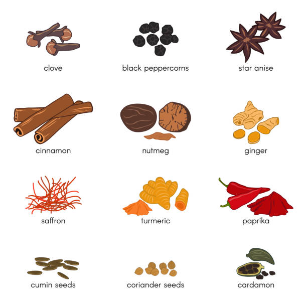 illustrazioni stock, clip art, cartoni animati e icone di tendenza di 12 spice scomp illusion vector set design - cinnamon stick spice food