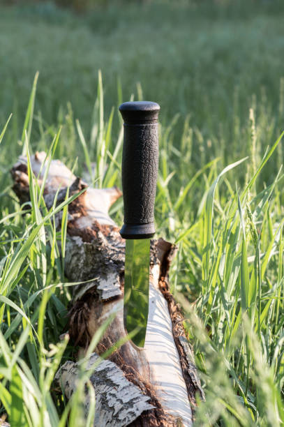 istock A knife embedded in a tree. Knife in the tree on the green grass. 1318766013