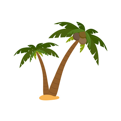 imagen-de-dibujos-animados-de-palmeras ?b=1&s=170667a&w=0&k=20&c=jr4m7vLAs5cB-qpzhRb7t3N78GPosRSp_vrTI-O9GNM= imagen-de-dibujos-animados-de-palmeras ?b=1&s=170667a&w=0&k=20&c=jr4m7vLAs5cB-qpzhRb7t3N78GPosRSp_vrTI-O9GNM=