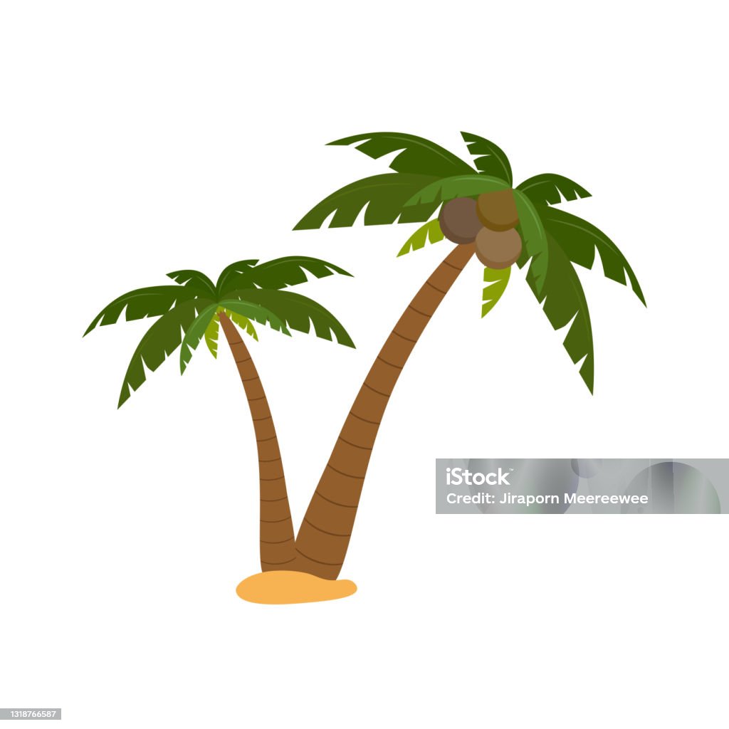 Hình Ảnh Hoạt Hình Cây Cọ Hoặc Cây Dừa Vào Mùa Hè Trên Bãi Biển ...