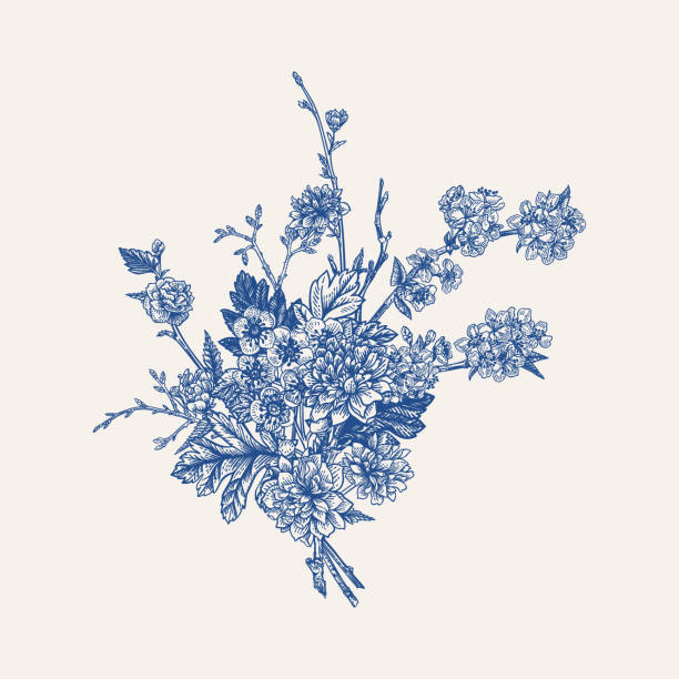 블루 꽃다발. 포도 수확. 피 - hawthorn flower old fashioned botany stock illustrations