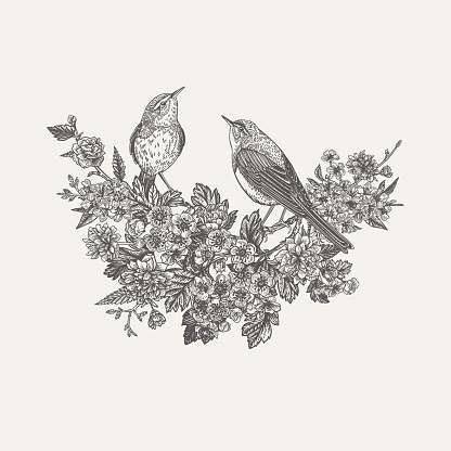 Composition with flowering trees and two birds. Isolated vector elements. Botanical illustration. Cherry, hawthorn, kerria. Black and white.