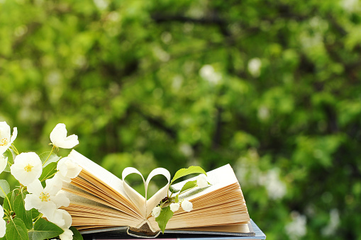 open yellowed book pages in the form of a heart against the background of a spring blooming apple tree. white buds of fruit tree flowers. reading paper book outdoors