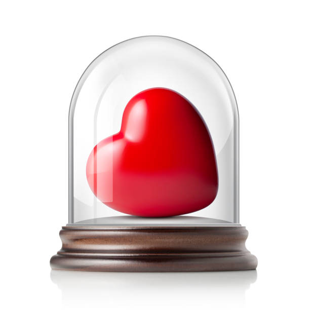 Heart in glass bell jar