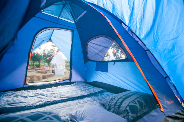 istock Camping and tent under the pine forest 1318783051