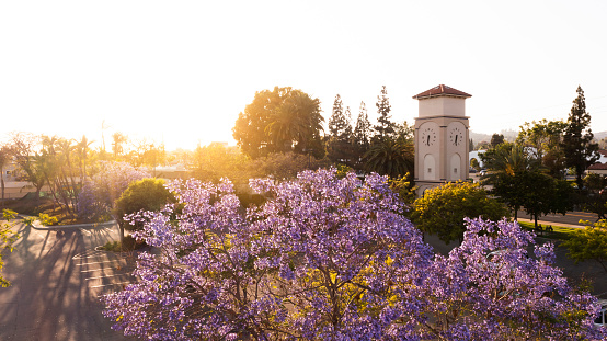 Sunset aerial view of the public clock tower of downtown La Habra, California, USA.