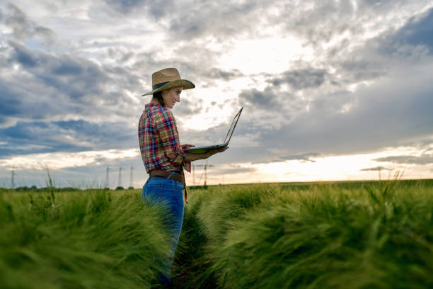 istock Female farm agronomist checking an agricultural field using laptop 1318792812