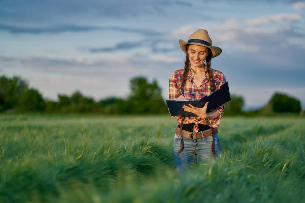istock Female plant researcher checking and taking notes in wheat field 1318792854