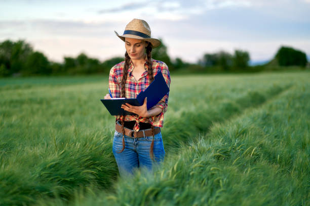 istock Female plant researcher checking and taking notes in wheat field 1318792943