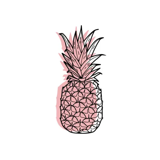 Vector illustration of Pink pineapple. Vector icona, modern style, logo for beauty sphere. Contemporary art