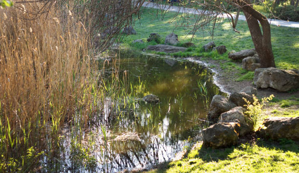 istock Beautiful spring landscape, lake in an abandoned green area 1318795229