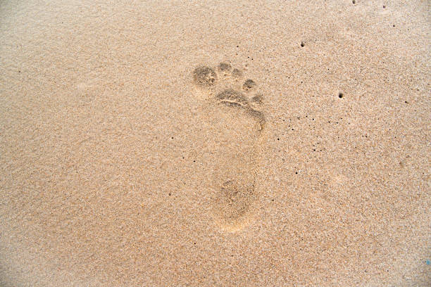 istock wave sea beach blue shore summer foot 1318802143