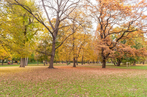 istock Park in Margaret Island, Budapest, Hungary 1318803094