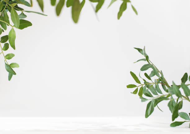 istock green leaves and branches mock up. white table with copy space for product placement. natural and eco concept. eucaliptus leaves 1318804461