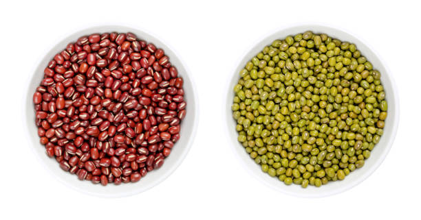 Adzuki beans and mung beans, azuki beans and green gram, in white bowls Adzuki beans and mung beans in white bowls. Azuki bean, also called red mung bean, and green gram. Whole, raw seeds of Vigna angularis, and Vigna radiata. Close-up, from above, over white, food photo. red mung bean stock pictures, royalty-free photos & images