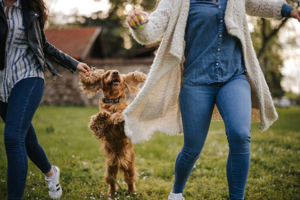 istock Cheerful female friends running with dog in spring park 1318806421