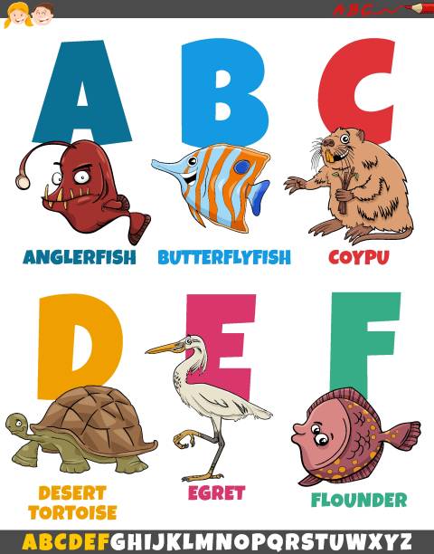 educational cartoon alphabet collection with funny animals Cartoon illustration of educational colorful alphabet set from letter A to F with comic animal characters nutria rodent animal alphabet stock illustrations