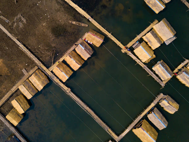 太陽の光が水に反射する湖の風景の竹いかだコテージ - looking at view on top of nautical vessel high section ストックフォトと画像