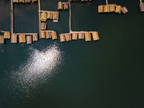 太陽の�光が水に反射する湖の風景の竹いかだコテージ - looking at view on top of nautical vessel high section ストックフォトと画像
