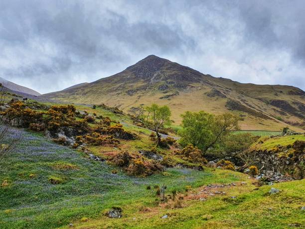 istock Rannerdale knotts and its bluebells 1318811807