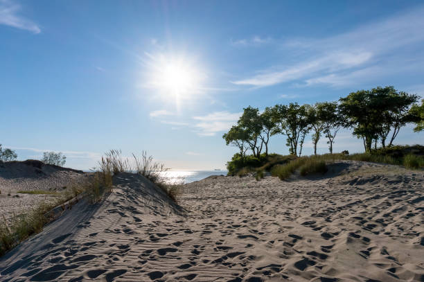 istock A sand dune at sunset. Sea sand hills in the sunlight. 1318811862