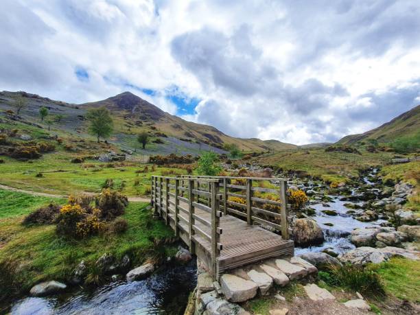 istock Rannerdale knotts and its bluebells 1318812773