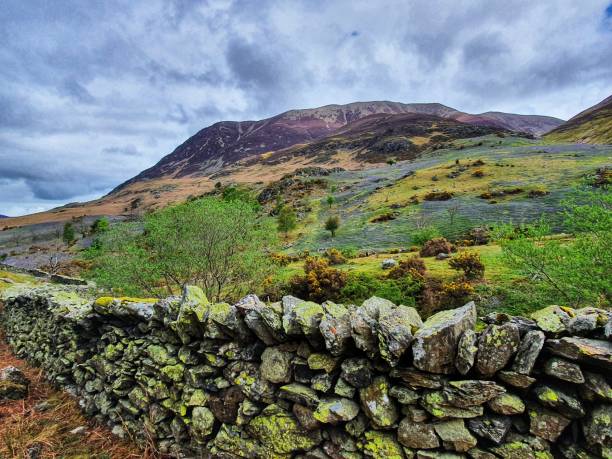 istock Rannerdale knotts and its bluebells 1318812885