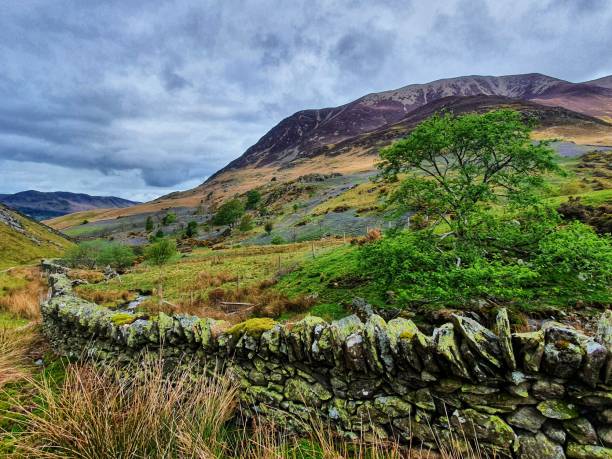 istock Rannerdale knotts and its bluebells 1318813434