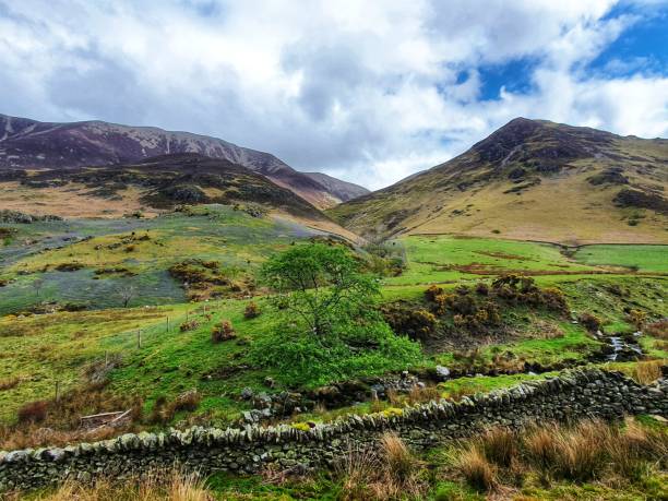 istock Rannerdale knotts and its bluebells 1318813451