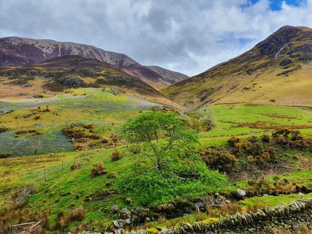 istock Rannerdale knotts and its bluebells 1318813471