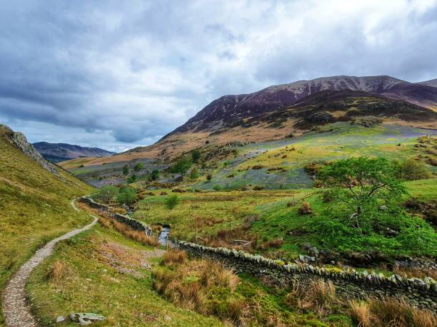 istock Rannerdale knotts and its bluebells 1318813487