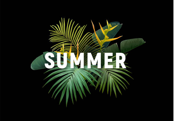 illustrations, cliparts, dessins animés et icônes de conception tropicale de vecteur d’été pour la bannière ou le dépliant avec les feuilles exotiques de palmier, les fleurs et la typographie. - hawaii islands big island beach hawaiian culture
