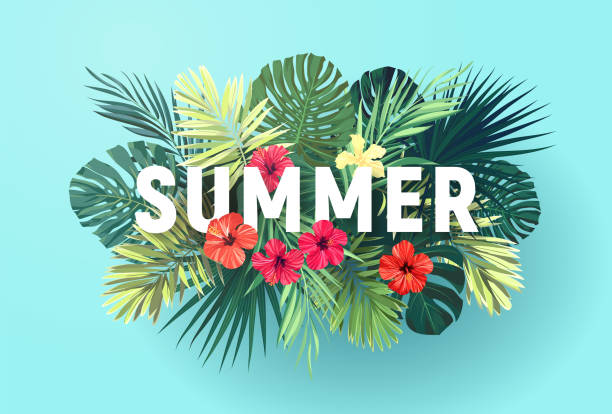 illustrations, cliparts, dessins animés et icônes de conception tropicale de vecteur d’été pour la bannière ou le dépliant avec les feuilles exotiques de palmier, les fleurs d’hibiscus et la typographie. - hawaii islands big island beach hawaiian culture