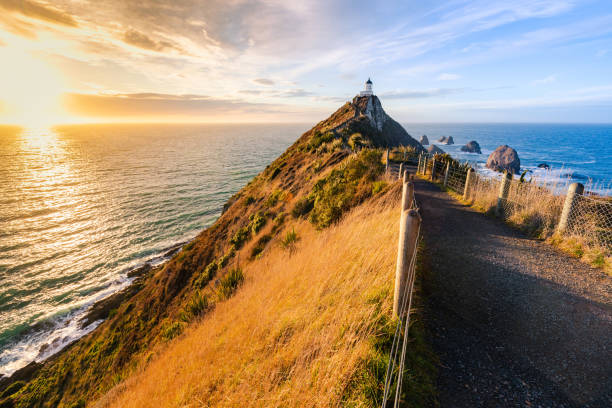istock Tokata / Nugget Point Lighthouse, The Catlins, Sunrise 1318813968