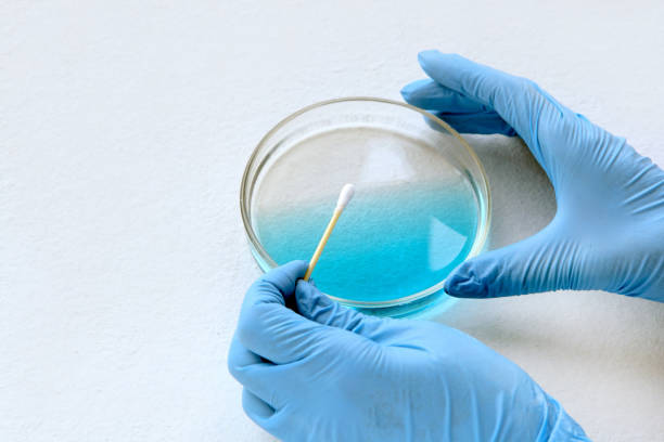 chemiker bei blau leuchtet im labor. prüfung mit glasplatte, blauer flüssigkeit und probenehmer an seinen händen. viren und gesundheitskonzept - technitian stock-fotos und bilder