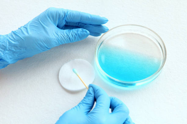 chemiker bei blau leuchtet im labor. prüfung mit glasplatte, blauer flüssigkeit und probenehmer an seinen händen. viren und gesundheitskonzept - technitian stock-fotos und bilder