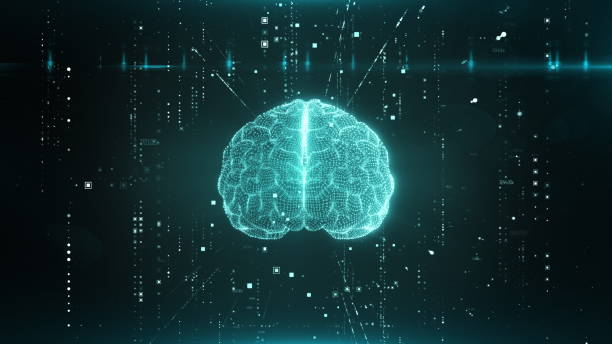 futuristiskt mänskligt hjärngränssnittskoncept. människans hjärna och plexusstruktur roterar med skallskanning och siffror som kretsar runt. djupinlärning, ai och modern teknik 3d-rendering - brain scan' bildbanksfoton och bilder