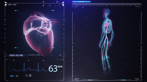 animação de escaneamento cardíaco humano. anatomia cardíaca com interface futurista. pesquisa hospitalar. tela futurista de alta tecnologia. interface de aplicação médica holográfica. loop perfeito. - human spine anatomy x ray the human body - fotografias e filmes do acervo