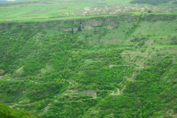 istock forest on the slope of the cliff 1318819745