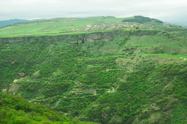 istock forest on the slope of the cliff 1318819748